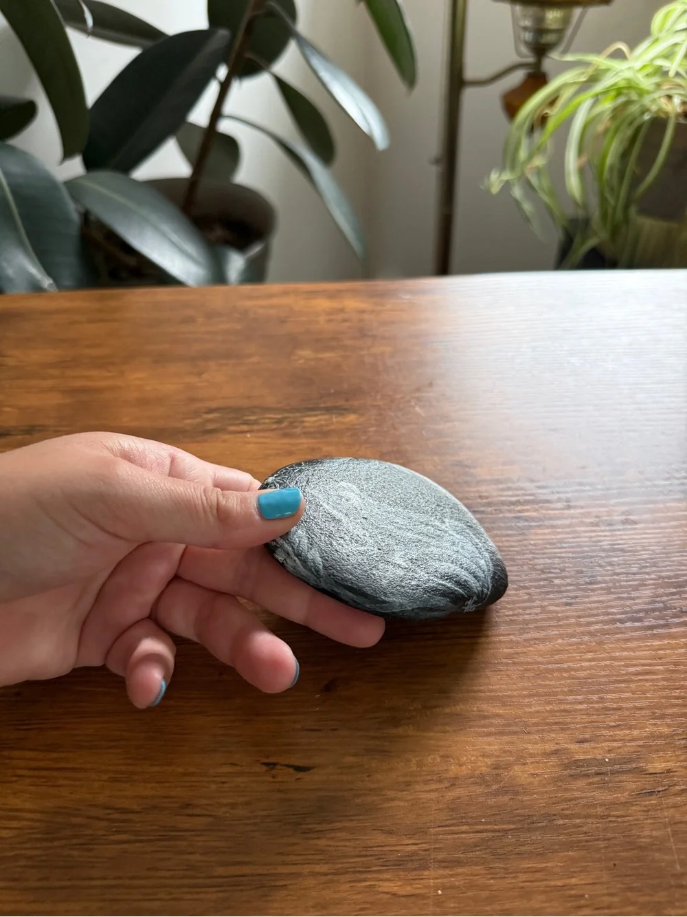 Hand-Painted Black Frog Rock - Decorative Reptile Accent